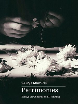 cover image of Patrimonies
